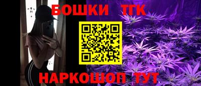 гидра Гусев