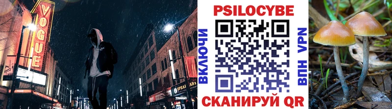 Псилоцибиновые грибы прущие грибы  Обнинск 