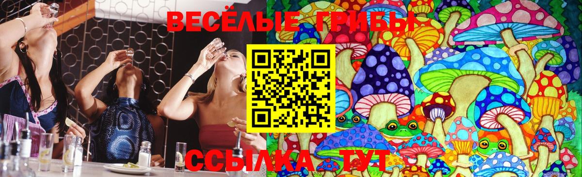 Обнинск  Галлюциногенные грибы Psilocybine cubensis  Вход с VPN 