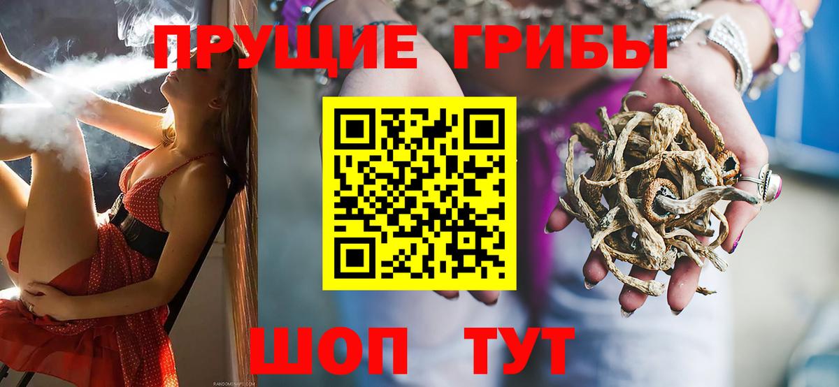 Галлюциногенные грибы GOLDEN TEACHER Обнинск