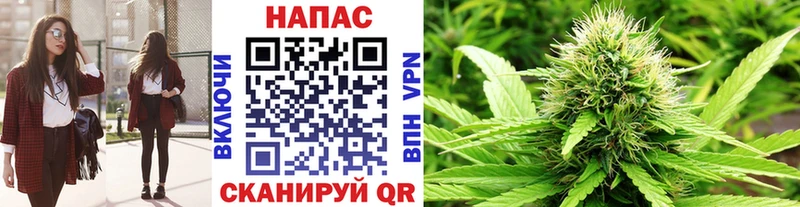 наркотики  Обнинск  Конопля SATIVA & INDICA 